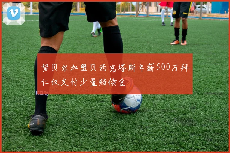 努贝尔加盟贝西克塔斯年薪500万拜仁仅支付少量赔偿金
